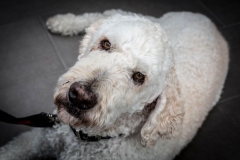 TB-5DMKIII-20190425-291