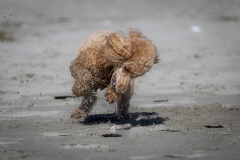 TB-R5MKII-251228-0404