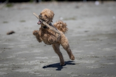 TB-R5MKII-251228-0429