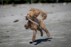 TB-R5MKII-251228-0430