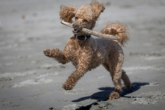 TB-R5MKII-251228-0440