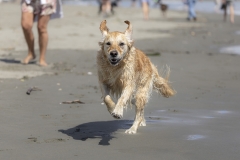 TB-R5MKII-251228-0472