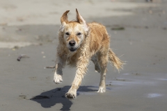 TB-R5MKII-251228-0473