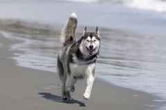 TB-R5MKII-251228-0478