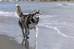 TB-R5MKII-251228-0491