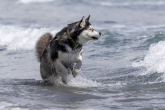 TB-R5MKII-251228-0512