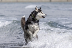 TB-R5MKII-251228-0523