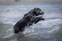 TB-R5MKII-251228-0554