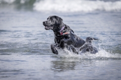 TB-R5MKII-251228-0568