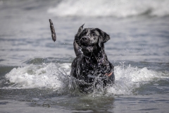 TB-R5MKII-251228-0589