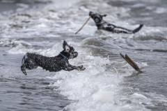 TB-R5MKII-251228-0661