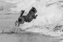 TB-R5MKII-251228-0786