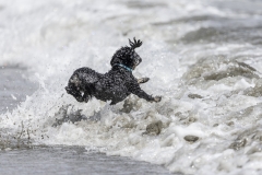 TB-R5MKII-251228-0787