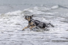 TB-R5MKII-251228-0805