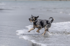 TB-R5MKII-251228-0820