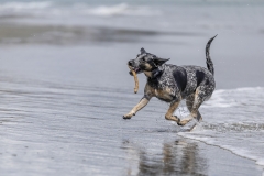 TB-R5MKII-251228-0825