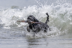 TB-R5MKII-251228-0844