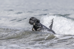 TB-R5MKII-251228-0925