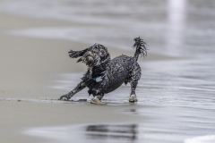 TB-R5MKII-251228-0982