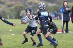 TB-R5-240810-0288 TB-R5-240810-0288