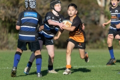 TB-R5MKII-260613-0336