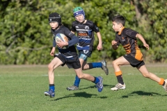 TB-R5MKII-260613-0921