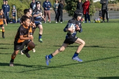 TB-R5MKII-260613-2228