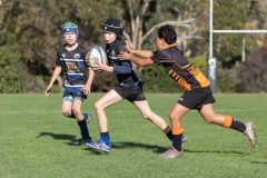 TB-R5MKII-260613-2421