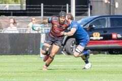 TB-R5MKII-251025-0517 TB-R5MKII-251025-0517