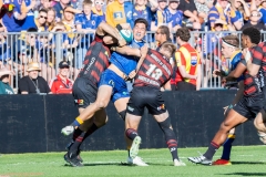 TB-R5MKII-251025-2266 TB-R5MKII-251025-2266