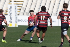 TB-R5MKII-250914-3569