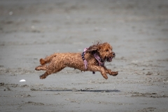 TB-R5MKII-251108-1955