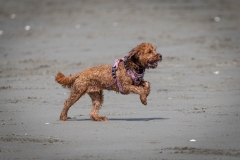 TB-R5MKII-251108-1971