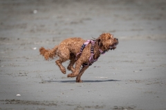 TB-R5MKII-251108-1976