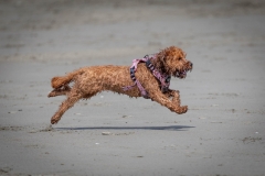 TB-R5MKII-251108-1981