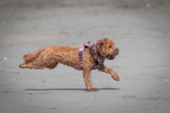 TB-R5MKII-251108-1982