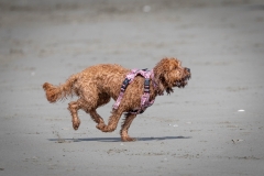 TB-R5MKII-251108-1984