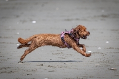 TB-R5MKII-251108-2005