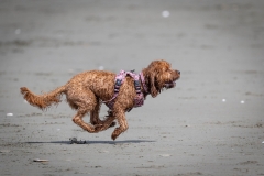 TB-R5MKII-251108-2009