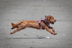 TB-R5MKII-251108-2014