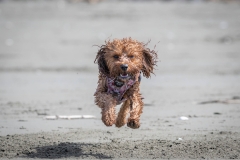 TB-R5MKII-251108-2069