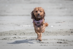 TB-R5MKII-251108-2076