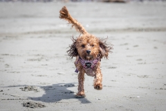 TB-R5MKII-251108-2098