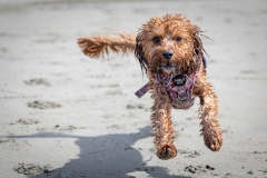 TB-R5MKII-251108-2105