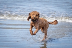 TB-R5MKII-251108-2790