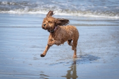 TB-R5MKII-251108-2801