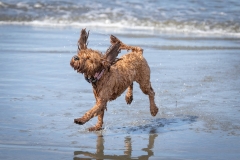 TB-R5MKII-251108-2803