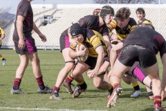 TB-R5-250727-0119 TB-R5-250727-0119