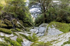 TB-R5MKII-250309-0785-Pano