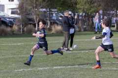 TB-R5-240817-0493 TB-R5-240817-0493